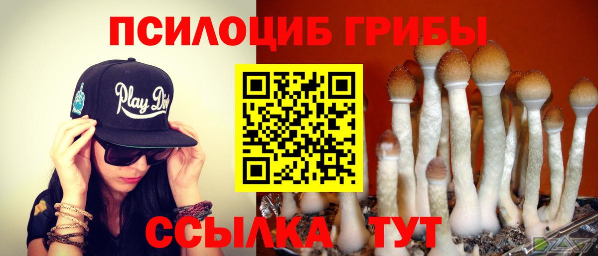 Псилоцибиновые грибы Psilocybine cubensis Корсаков